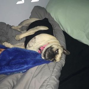 Meet your Posher, Aylin